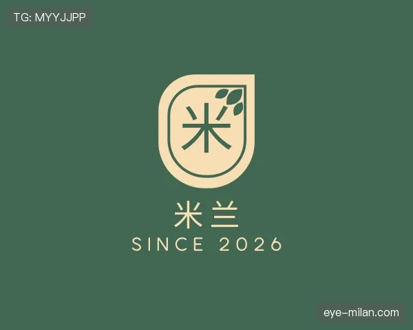 解读米兰世界杯